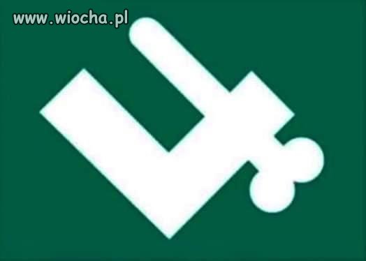 Nowa falanga Młodzieży Wszechpolskiej...