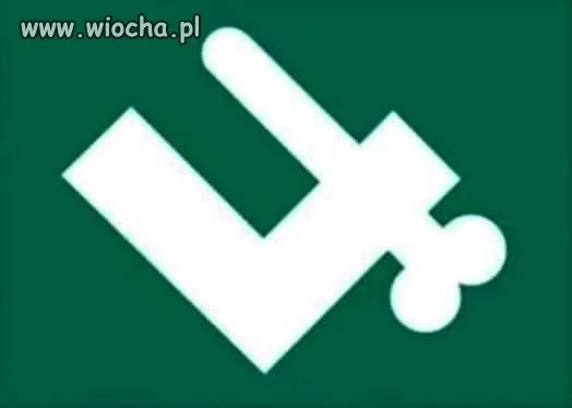 Nowa falanga Młodzieży Wszechpolskiej...