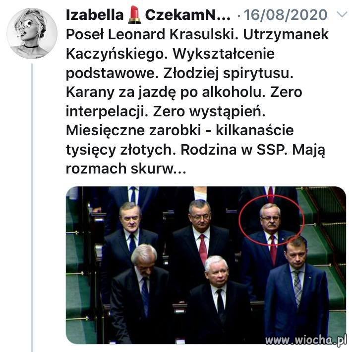 Pisowskie elity ...