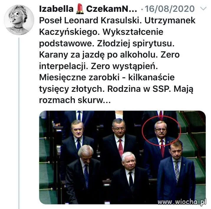 Pisowskie elity ...