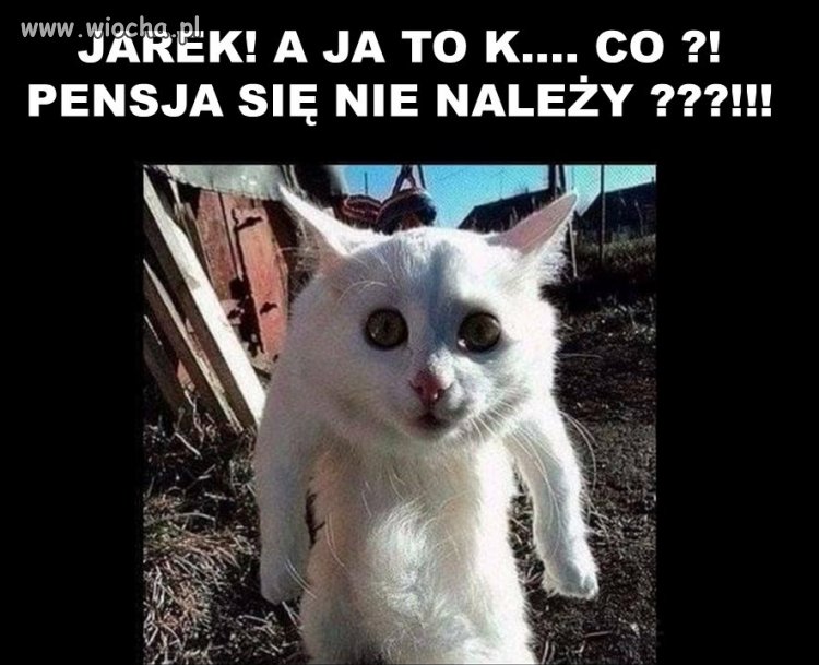 Następny w kolejce po kasę