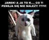 Następny w kolejce po kasę
