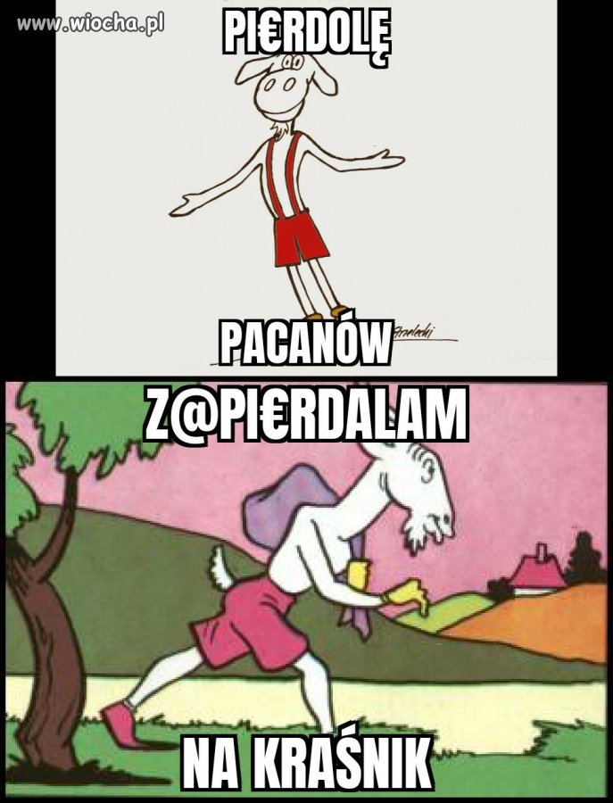 Koziołek wie