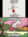 Koziołek wie