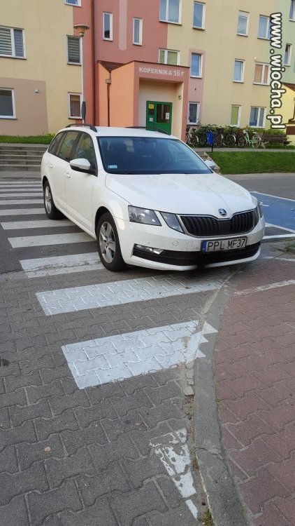 Tylko ku...sy blokują pasy