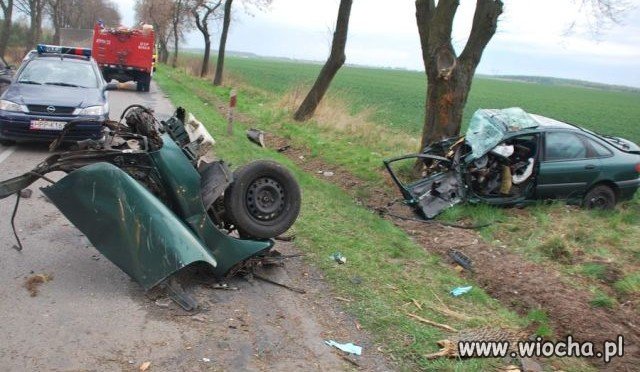 Kto jeździ po pijanemu jest matołem.