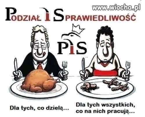 Nie inaczej. 