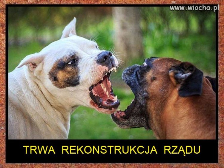 Tak to właśnie wygląda ...