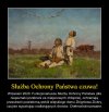 I żaden dron tu już się nie przeciśnie ...