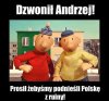 Mam wrażenie że zatrudnił. 