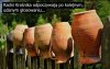 Ciemnogród PiSu i Rydzyka