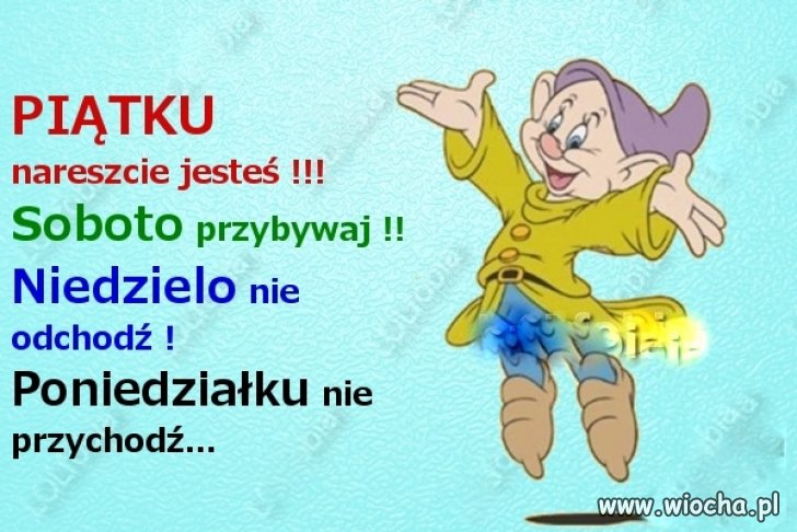 Człowiek by tak chciał 