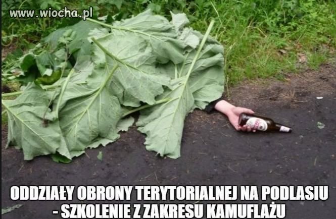 Heheszki polityczne