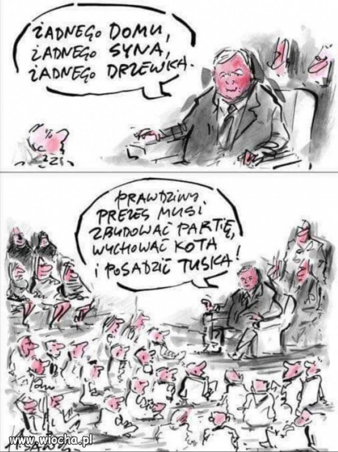 Zadania dla prawdziwego prezesa