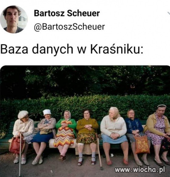 Baza danych w Kraśniku 