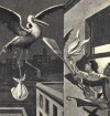 Pigułki antykoncepcyjne wynaleziono w latach '50