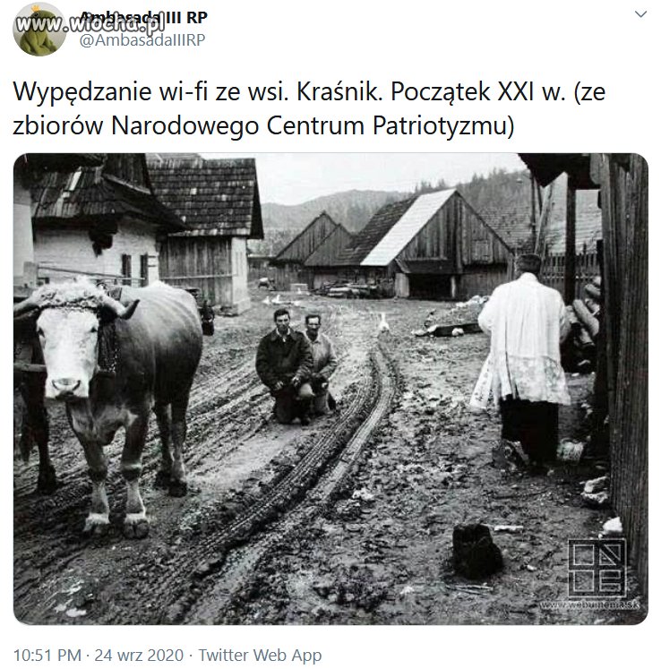 Tymczasem w Kraśniku