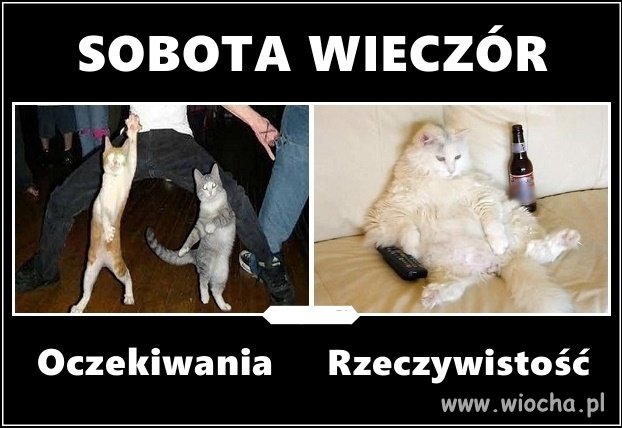 Dzisiaj fajna będzie zabawa 