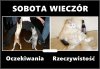 Dzisiaj fajna będzie zabawa 