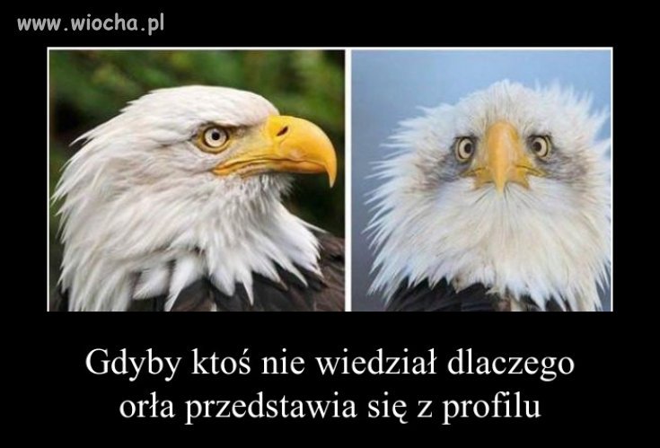 Gdy masz lepszy profil 