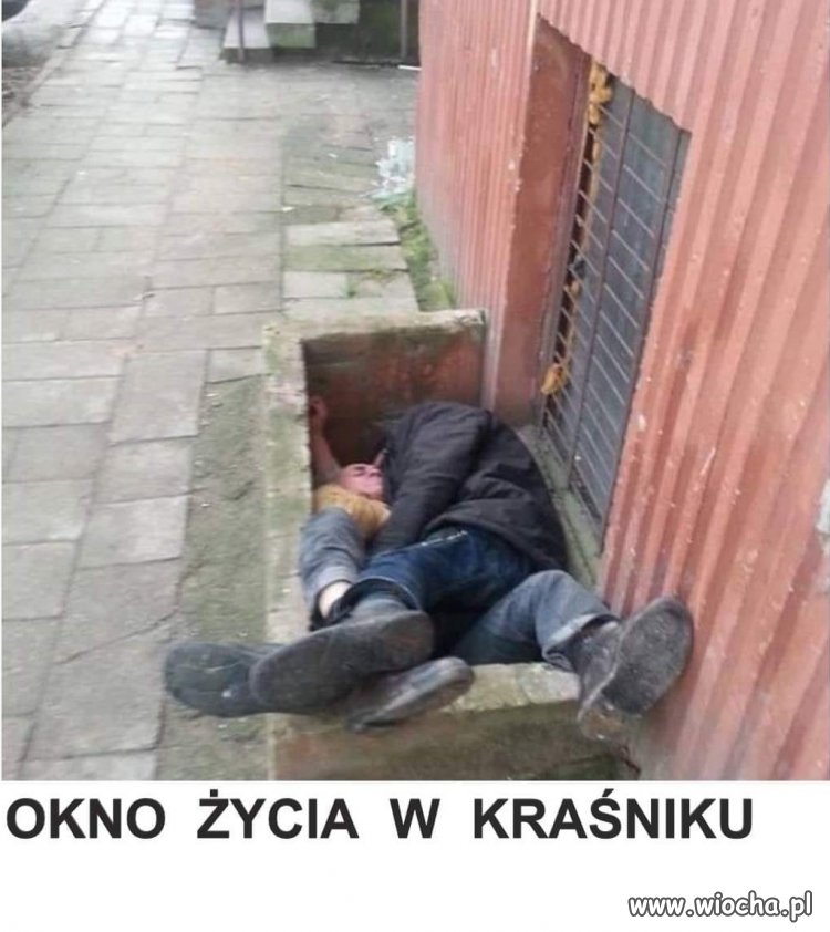Kraśnik. Podobno siostry zakonne sortują