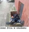 Kraśnik. Podobno siostry zakonne sortują