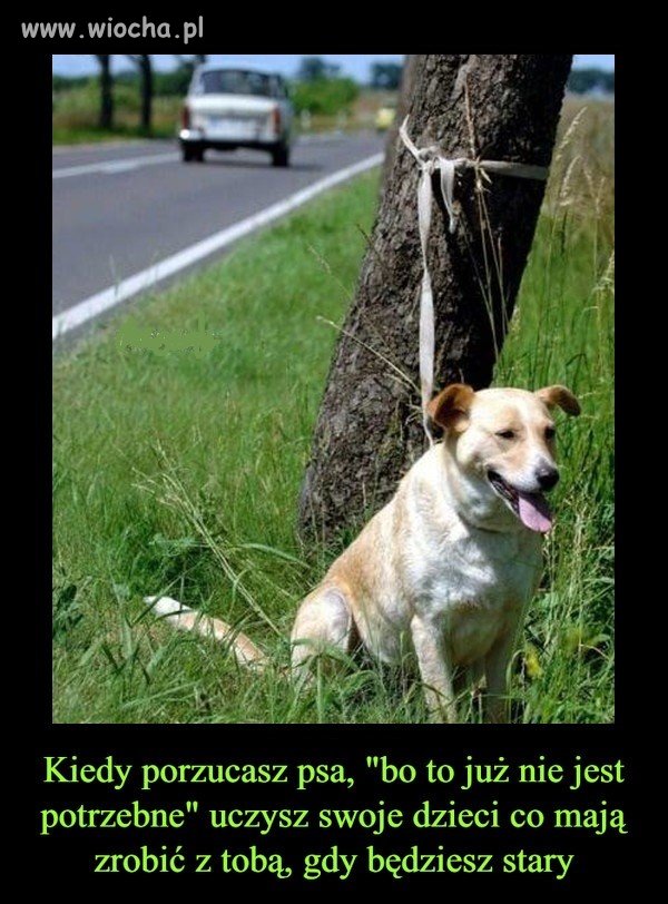 Karma wraca
