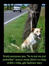 Karma wraca