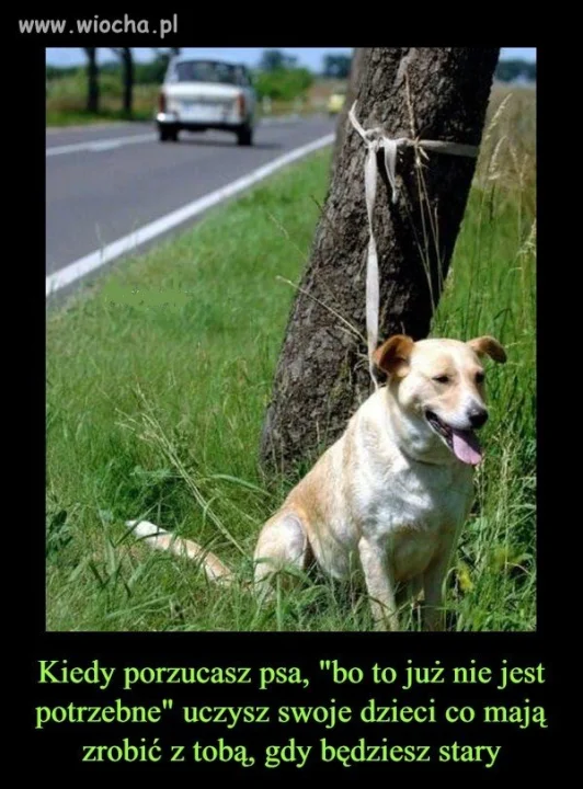 Karma wraca