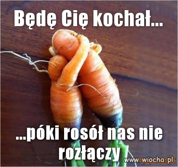 ...póki nas rosół,