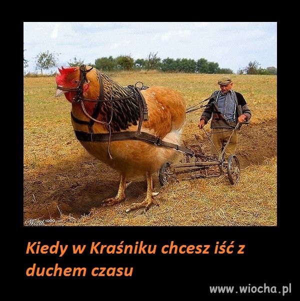 Mocno koloryzowane 