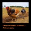 Mocno koloryzowane 