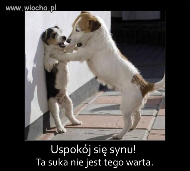 Z życia wzięte 