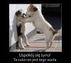 Z życia wzięte 