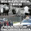 Tak było jest i będzie!