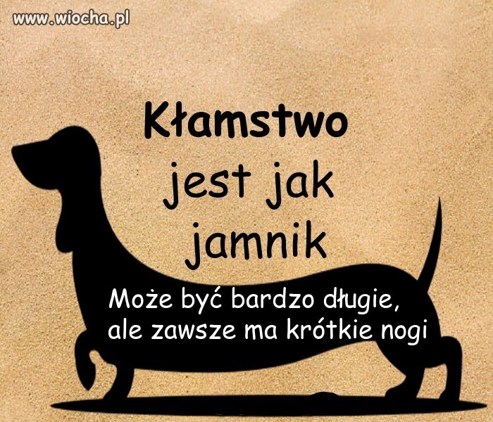W polityce też 