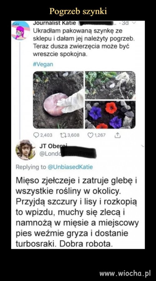Weganie i ich błyskotliwe pomysły 