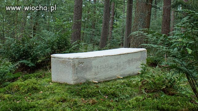 Ekologiczny pochówek