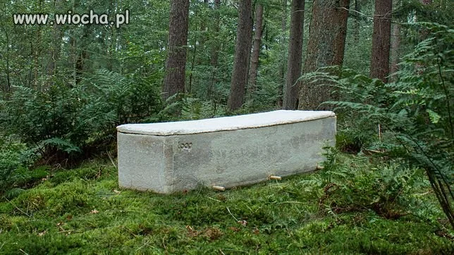Ekologiczny pochówek