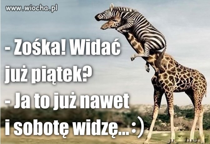 Zośka dziś piątek !!! 