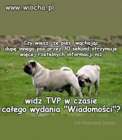 Tak może być