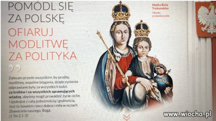 Bez komentarza 