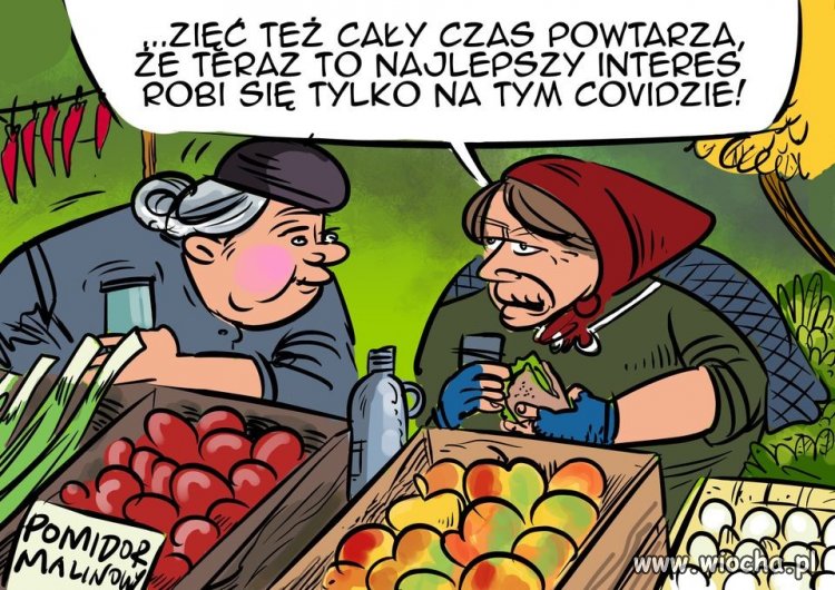 Tytuł zbędny