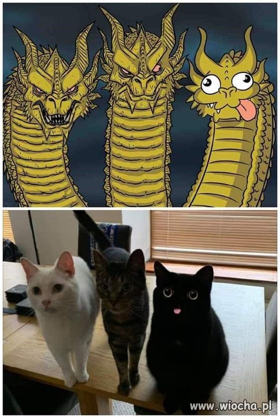 Ta jedna osoba w rodzinie.