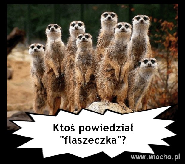 Magiczne słowo 