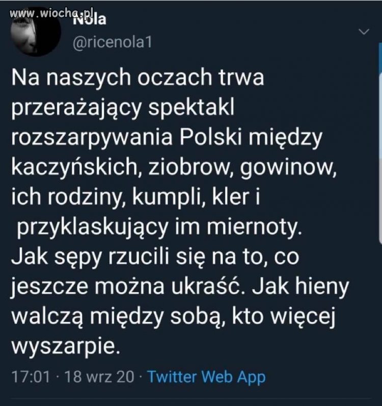 Jak w dniu świra