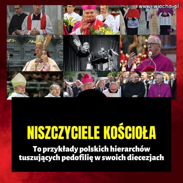 Jedno trzeba im przyznać. Są skuteczni ...