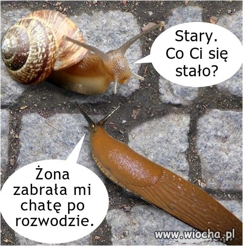 Goły i wesoły