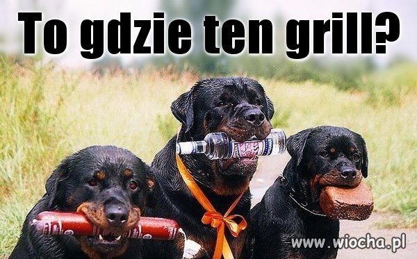 SOBOTA !!!