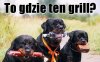 SOBOTA !!!